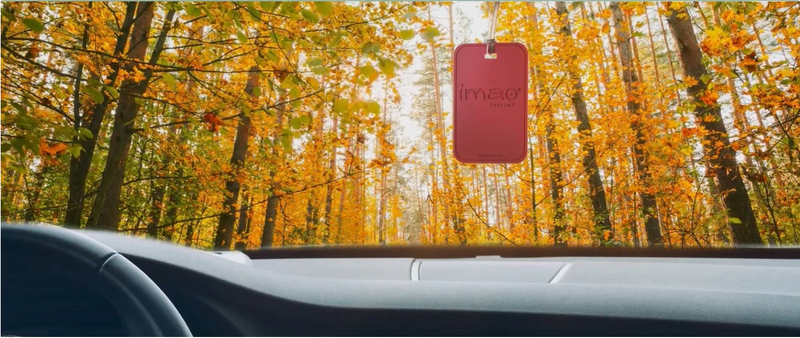 Ambientador IMAO: Fragrâncias cuidadosamente selecionadas, inspiradas nos mais belos destinos mais do mundo.