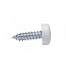 Parafusos de Matrícula com Tampa Branca (Embalagem c/100)