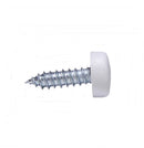 Parafuso de Matrícula com Tampa BrancaParafuso de Matrícula com Tampa Branca