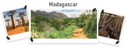 Ambientador Imao Sob o Sol de Madagáscar